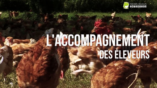 ITW Philippe DESLAIS - technicien aux fermiers de Loué