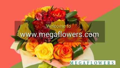 Fresh Flowers Delivery St.Petersburg - Megaflowers.com