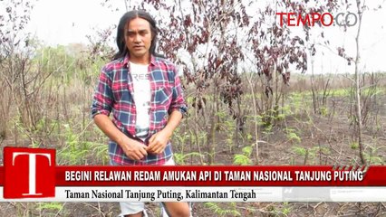 Begini Relawan Redam Amukan Api di TN Tanjung Puting