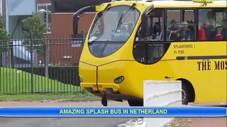 Bus can run on water , just in Netherlands