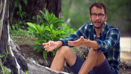 S31 - The Jury Speaks Stephen