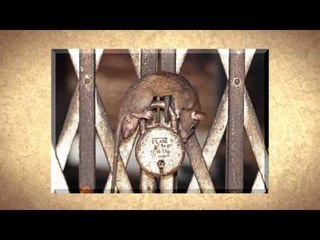 5 destinos para un turista no convencional