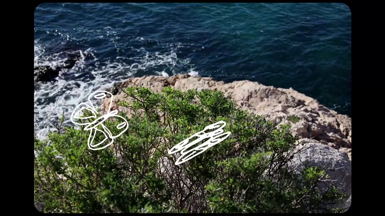 Les Contes de Malmousque de Catherine Vincent