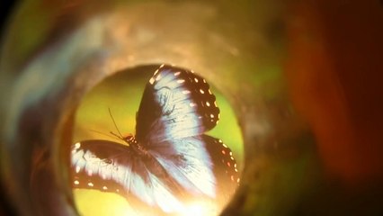 How to Make Picture Projector (Epidiascope) - Easy Tutorials