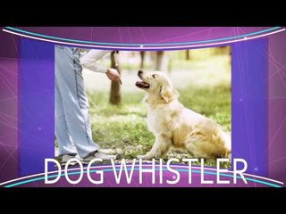 5 apps que todo amante de las mascotas debe usar