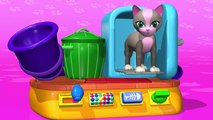 TuTiTu Animals | Animal Toys for Children | Cat