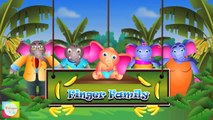 Finger Family Collection _ Non-Stop 40 Minutes _ Biggest Collection of Finger Family For Children