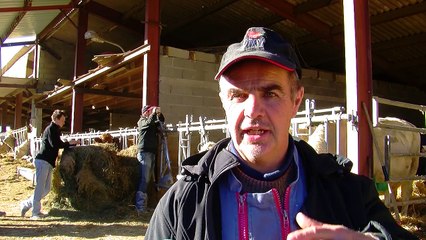D!CI TV: deux vaches à viande jugées par des jeunes à Rambaud