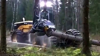 Cutting Down Wood | It Slices, Dices and Trims