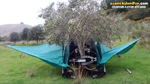 Seyir Zevki Yüksek Zeytin Toplama Makinası