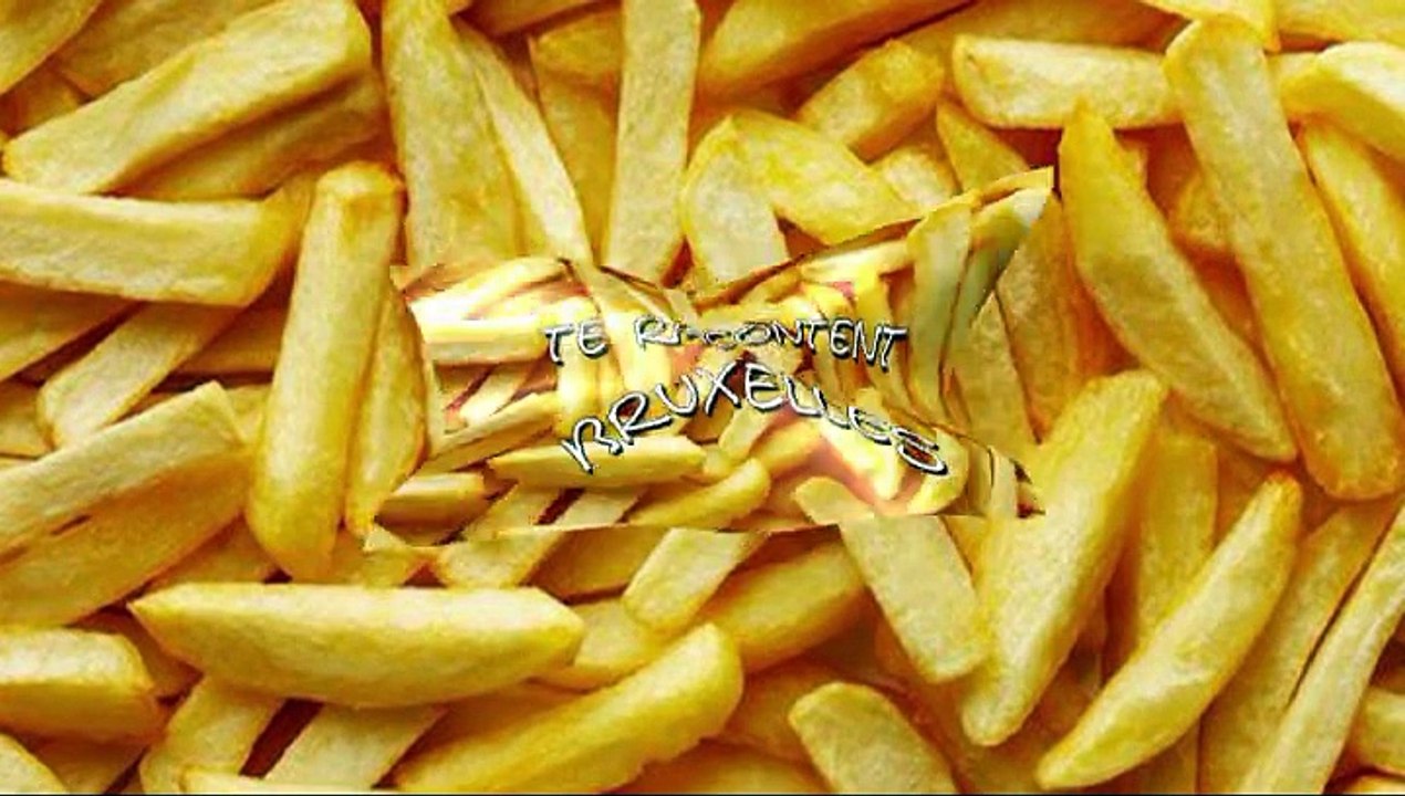 Nic et Flup te racontent Bruxelles. Episode 1.  Le zievereer expliqué aux snuls