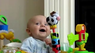 Laughing babies
