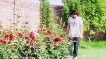 Sheikhoo Song umer tu sari 2015 letast video song mp4_x264 sad song yo yo honey sing bilal saeed falak baadshah rap song