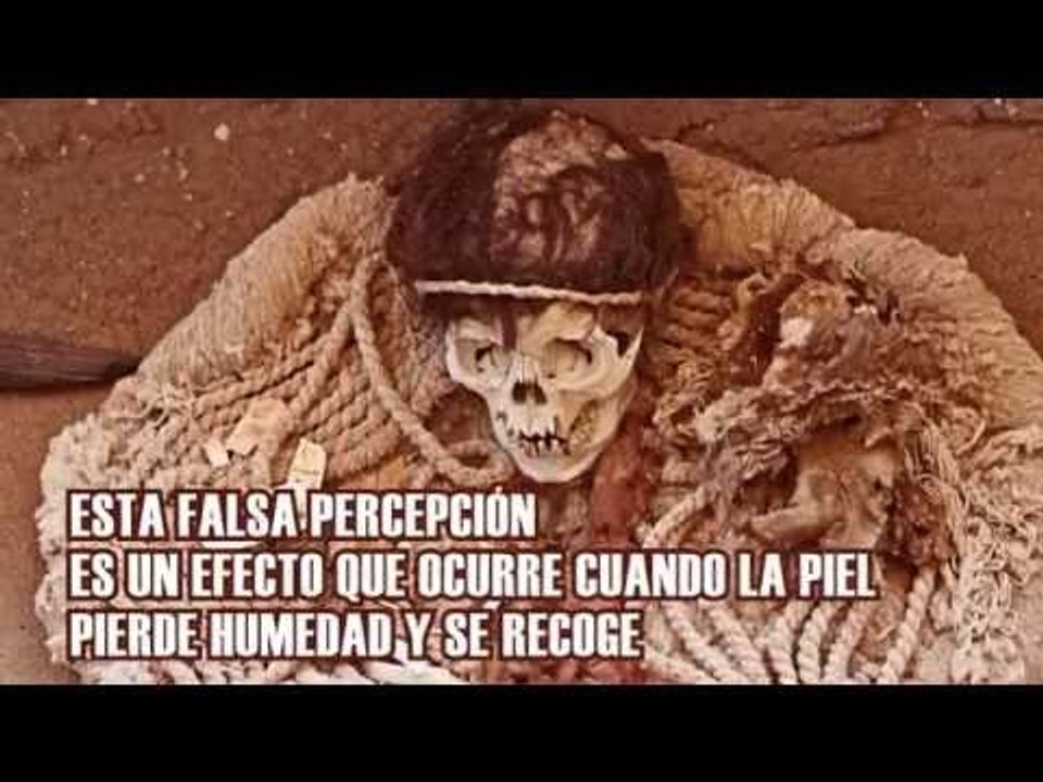 ¿Estamos Conscientes Después De Morir?