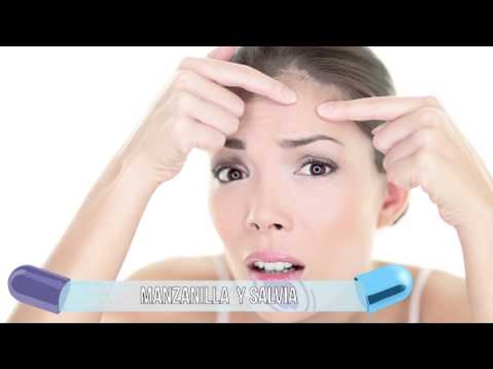 Infusiones naturales que benefician el organismo