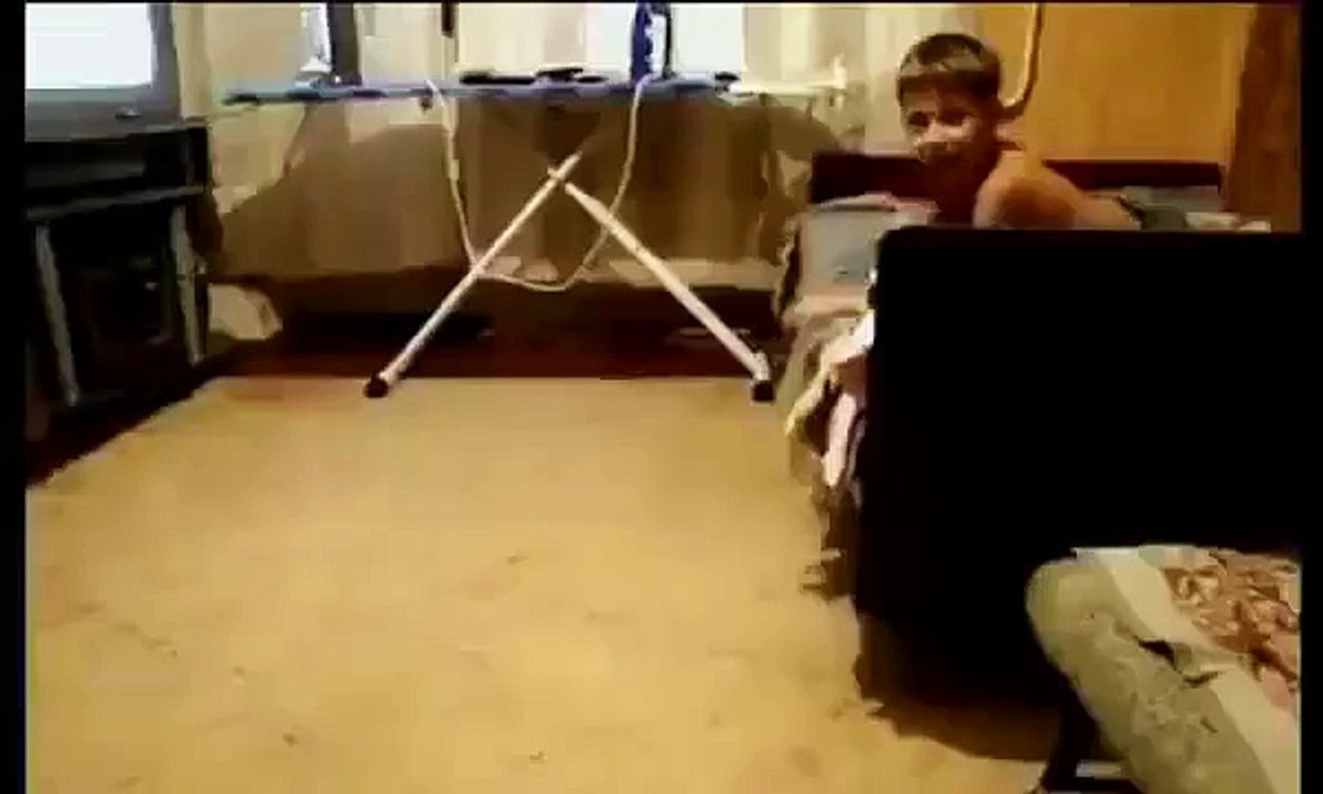 Приколы с животными! Кот - нападальщик!))