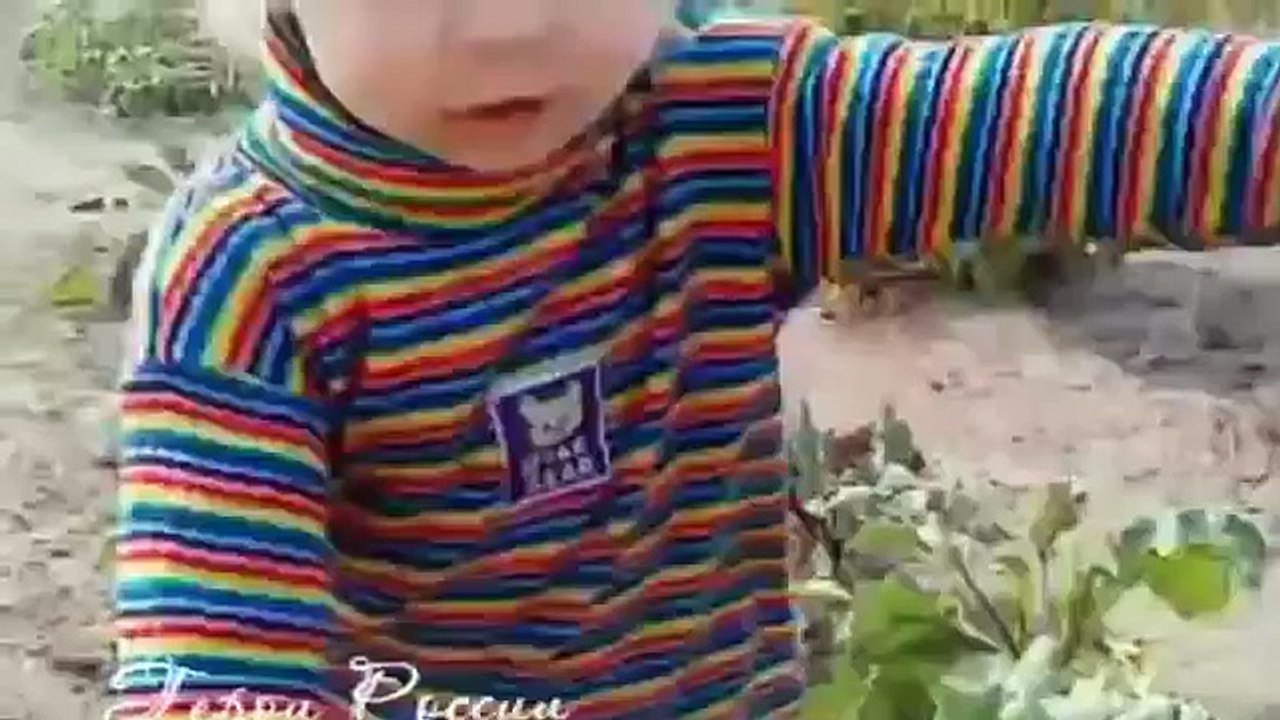 Приколы с собачками! Спасательница!)))