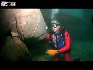 Приколы! Вот это рыбина!))