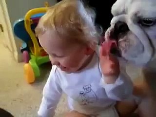 Приколы! Малыш и бульдог! Забавно!)))