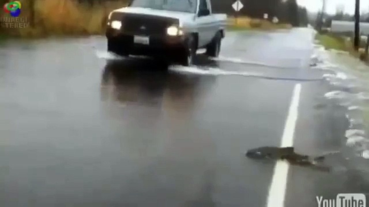 Приколы! Переправа!)