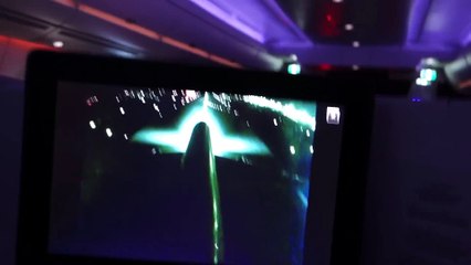 El frenazo en plena maniobra de despegue grabado desde dentro