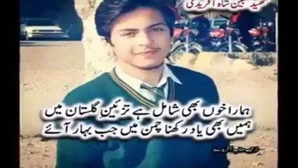Baba Mere Pyare Baba, Mama Meri Pyari Mamaa New Sad Song/Poetry in the Remembrance of APS Martyrs