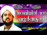 എന്ത് കൊണ്ട് അറബിയിൽ..? Islamic Speech In Malayalam | Onampilly Muhammed Faizy New 2014