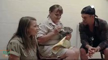 Bindi Irwin, Derek Hough and Koalas - Australia Zoo