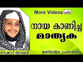 നായ കാണിച്ച്  കൊടുത്ത മാതൃക...  Islamic Speech In Malayalam | Noushad Baqavi New 2014