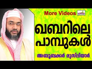 ഖബറിനകത്തെ  99 പാമ്പുകൾ... Islamic Speech In Malayalam E P Abubacker Musliyar New 2014