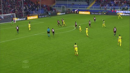 Sergio Pellissier (Chievo Vérone)