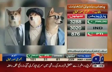 Humara Kutta Kutta, Aur Apka Kutta Tommy