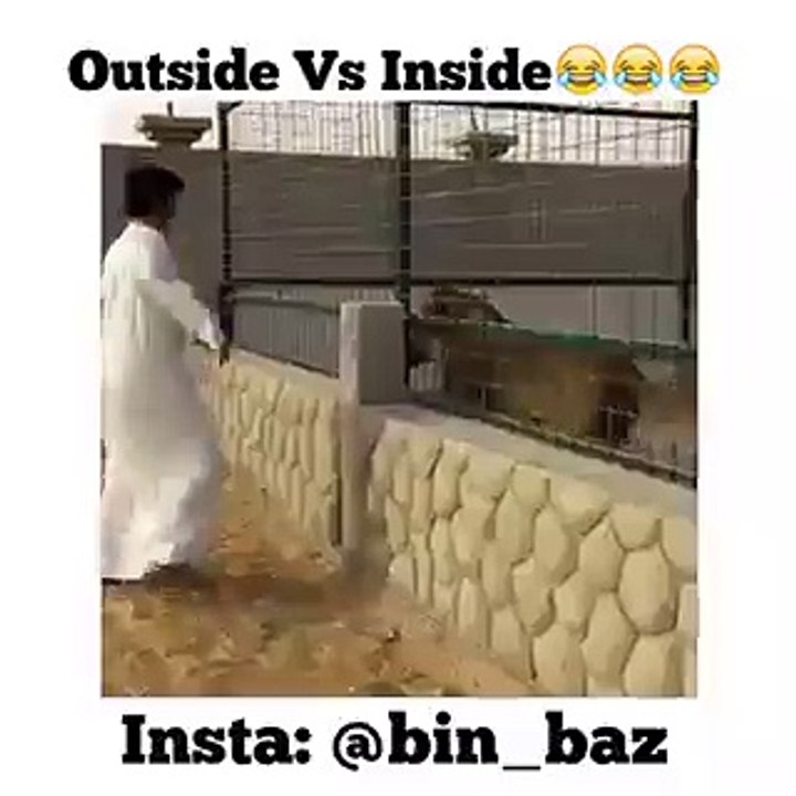 شاهد هذا البطل خارج القفص وداخله Wah Larka bahrir nach rha hai r under dar rha hai hahaha hd