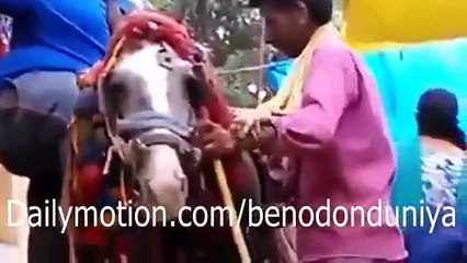 Best Whatsapp Funny Videos Compilation | WhatsApp Popular Videos Compilation