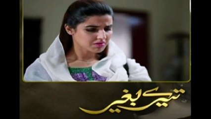Tere Baghair Episode 5 Promo on Hum Tv December 16