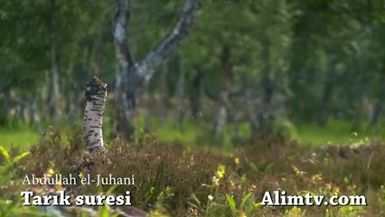 Tarık Suresi Dinle Abdullah el-Juhani