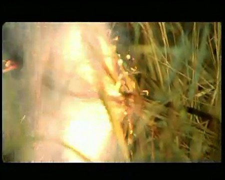 А. Дюмин - друзья