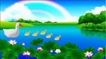 Five Little Ducks Nursery Rhyme With Lyrics - Cartoon Animation Rhymes & Songs for Childre