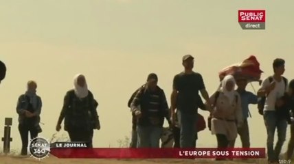 Sénat 360 : L'entente cordiale ? / L'europe sous tension / La loi santé adoptée (17/12/2015)