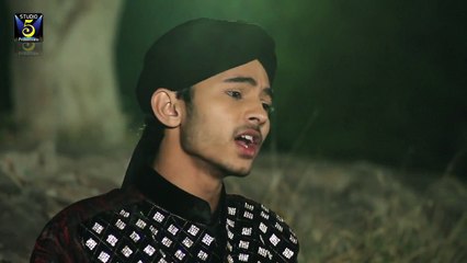 MUHAMMAD SAWS aa gay....