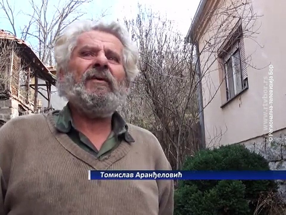 Mečka na Staroj planini, 17. decembar 2015. (RTV Bor)