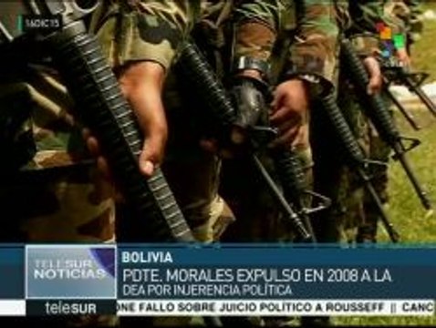 Bolivia erradica más 11 mil hectáreas de coca