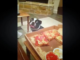 Funny Fails 2016 - Hot Funny Video