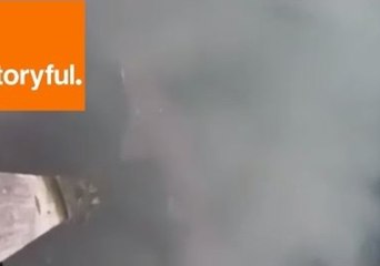 Large Shark Spotted Near Tasmanian Museum