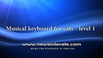 Musical keyboard for cats level 1