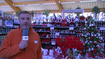 D!CI TV - Pour trouver sa déco de Noël, direction Jardiland pour de nombreux clients