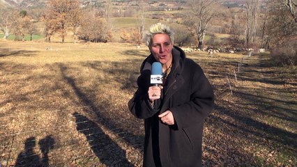 D!CI TV -Grand concert de solidarité organisé samedi 19 décembre à Barcelonnette