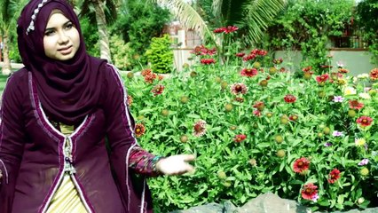 Mohammad Mustafa Aye HD Full Video Naat [2016] Aqsa Abdul Haq