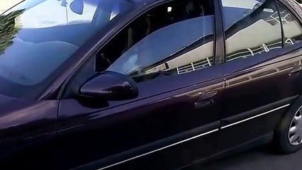 Вы употребляли сегодня ?