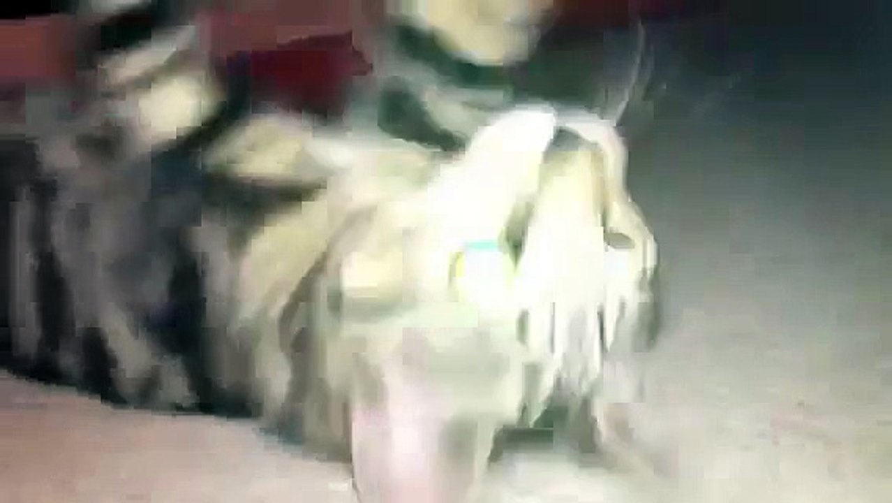 GATO CREE QUE ES EL HOMBRE ARAÑA, JAJA BUENISIMO - Video Humor Gatos - Gatos divertidos lo